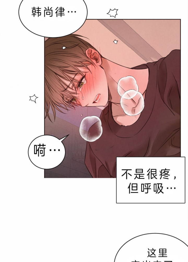 柳树皮发酵方法漫画,第56话2图