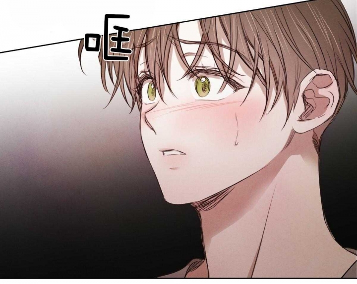 柳树浪漫史讲述了什么漫画,第67话5图