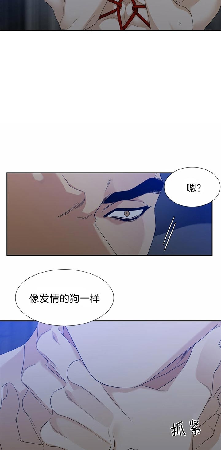 疯狗电影完整版在线观看漫画,第73话4图