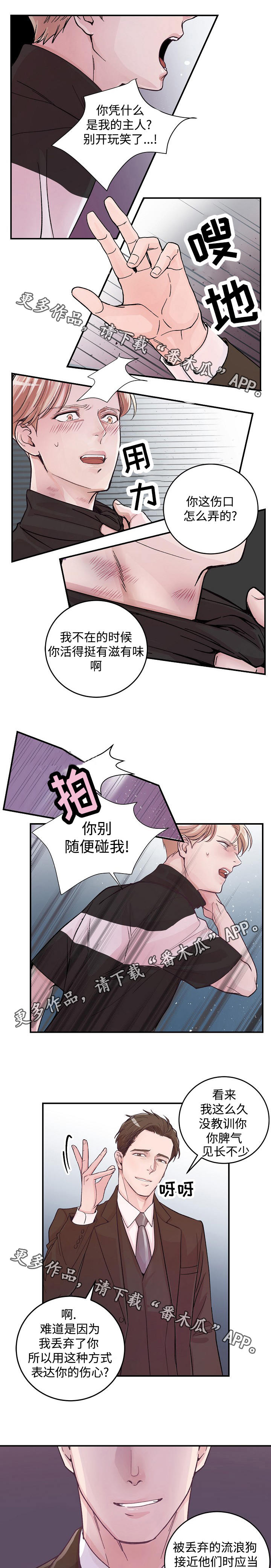 演艺圈谁狂追杨紫漫画,第19章：把柄1图