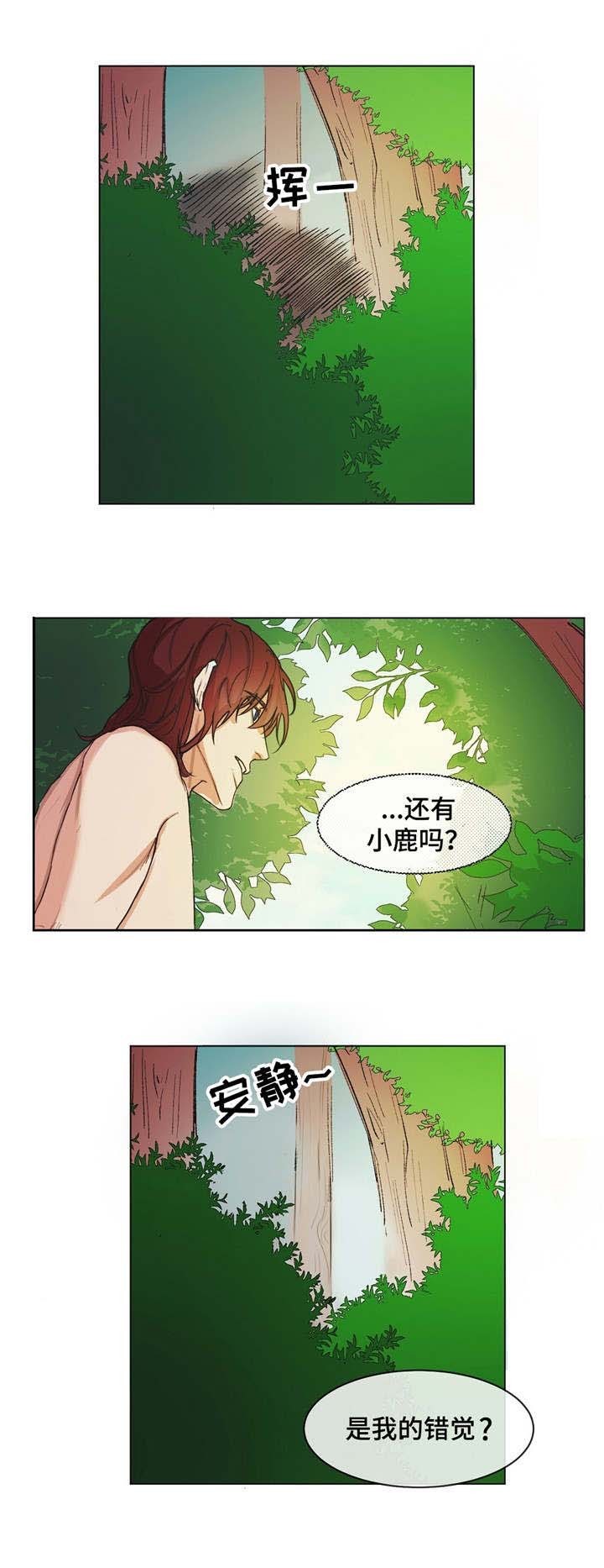 分享爱车养护小知识漫画,第2话5图