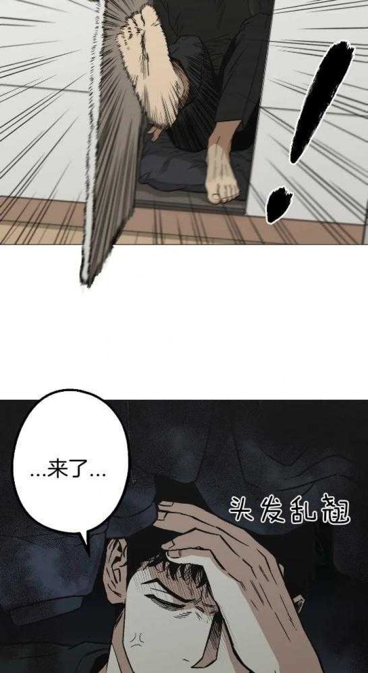 杀手坠入爱河作者其他作品漫画,第48话5图