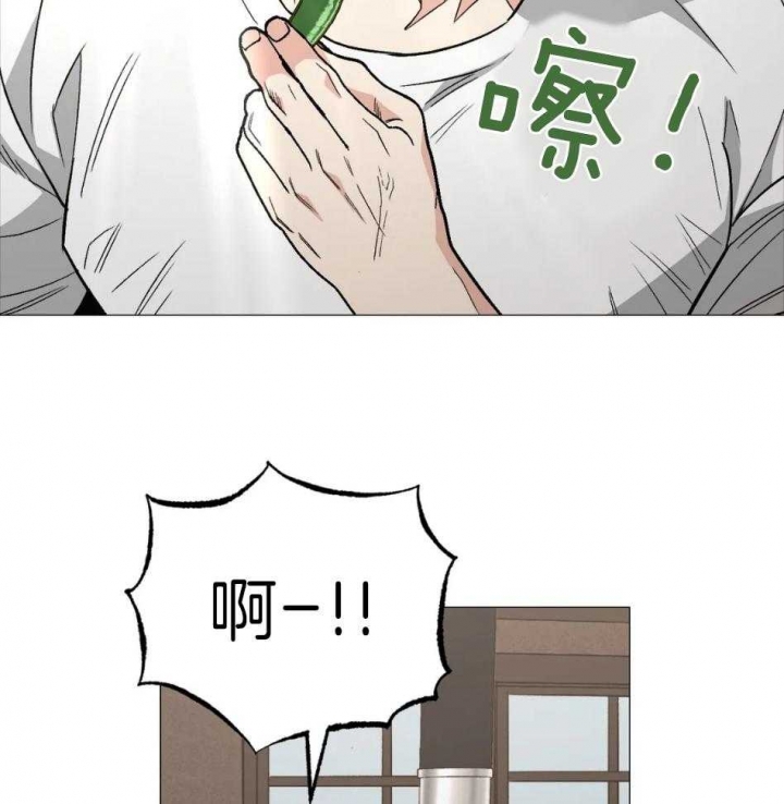 坠入爱河的杀手漫画在线看漫画,第54话5图
