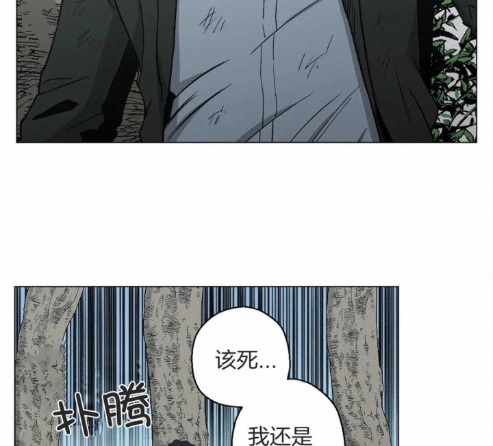 当杀手坠入爱河剪映漫画,第34话5图
