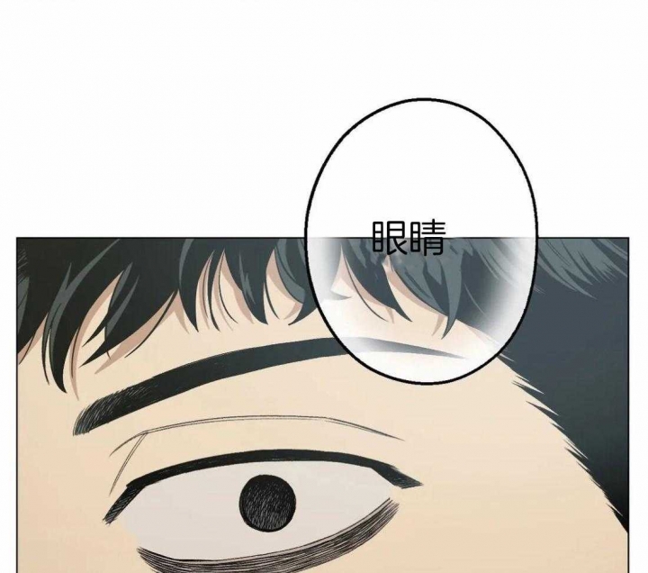 坠入爱河的英文完整版漫画,第31话5图