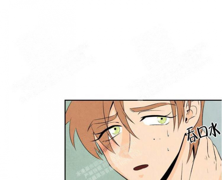 祝你好运动画在线观看完整版电影动画漫画,第12话1图