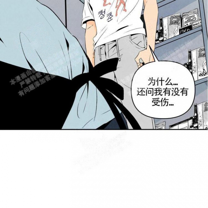 祝你好运动画在线观看完整版电影动画漫画,第12话5图