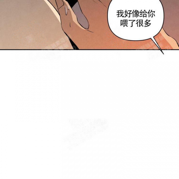 祝你好运祝福语漫画,第31话4图