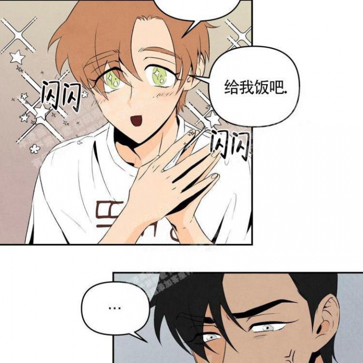 祝你好运里奥格兰德在线观看完整版电影漫画,第11话3图