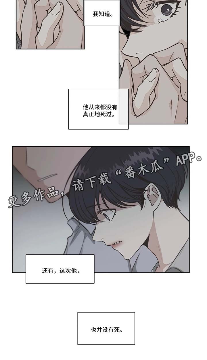 哪朵花的花语是永恒的牢笼漫画,第33章：免费编曲4图