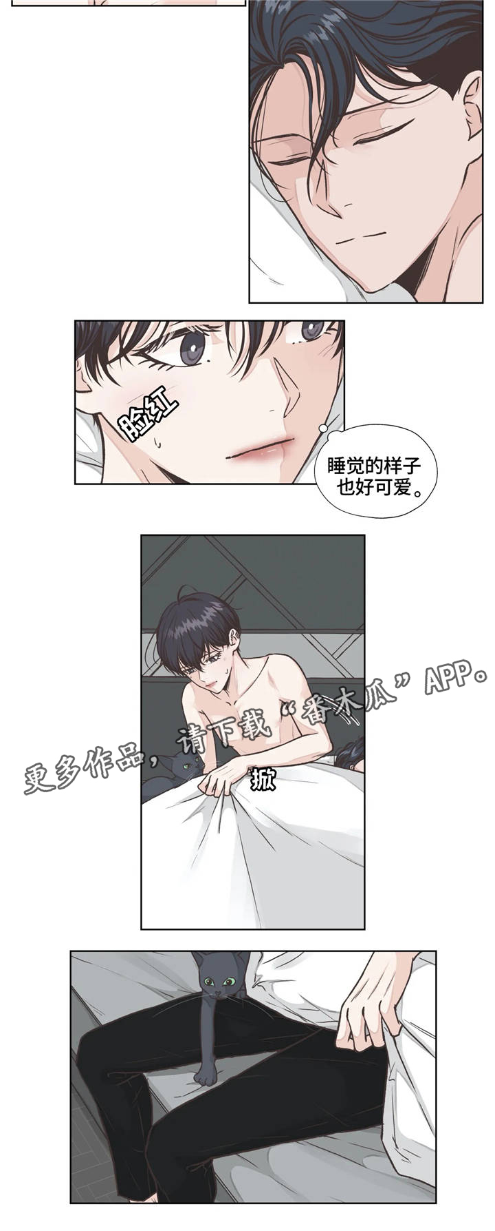 哪朵花的花语是永恒的牢笼漫画,第19章：发现2图