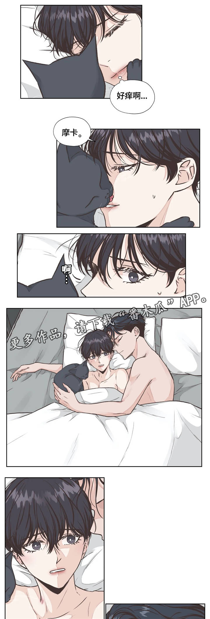 哪朵花的花语是永恒的牢笼漫画,第19章：发现1图