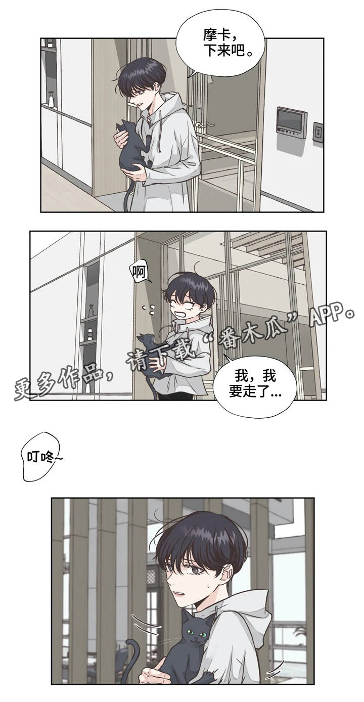 哪朵花的花语是永恒的牢笼漫画,第19章：发现3图