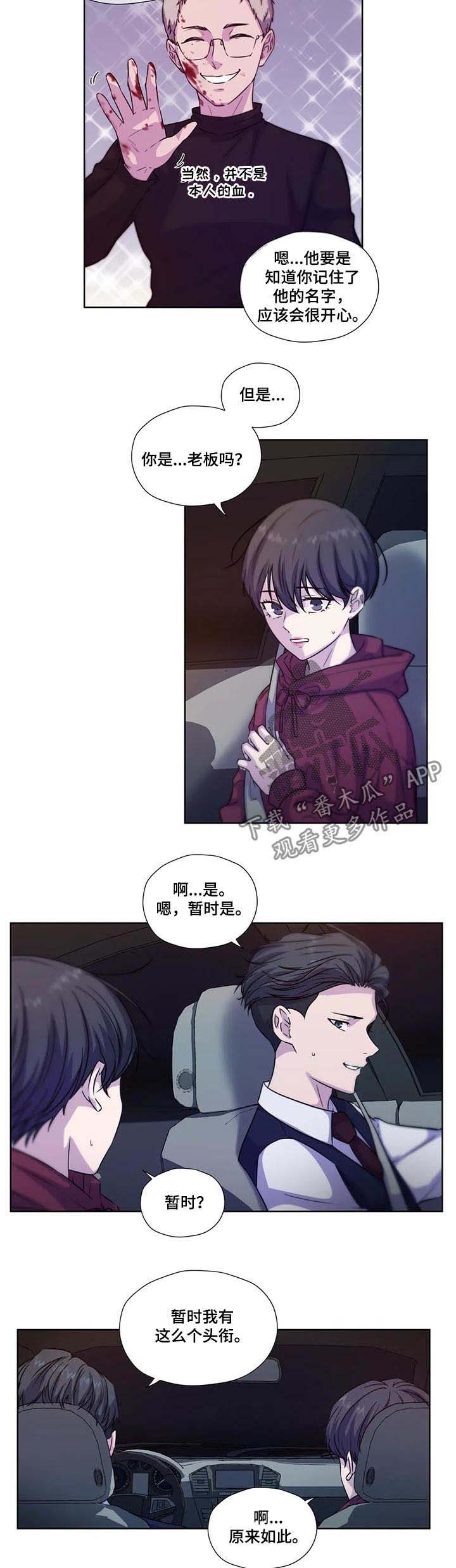 神秘博士永恒牢笼解说漫画,第59章：【第二季】每天都在喜欢你5图