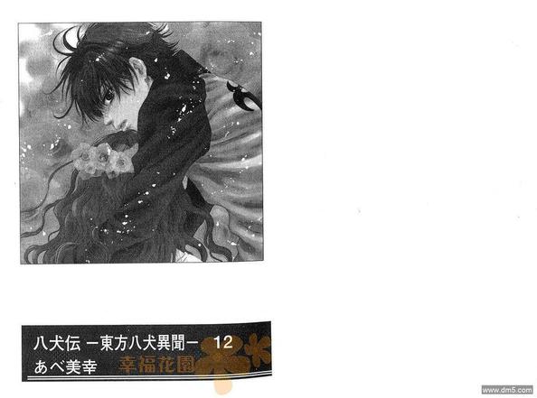 八犬传东方八犬异闻录第二季动漫漫画,第12卷3图
