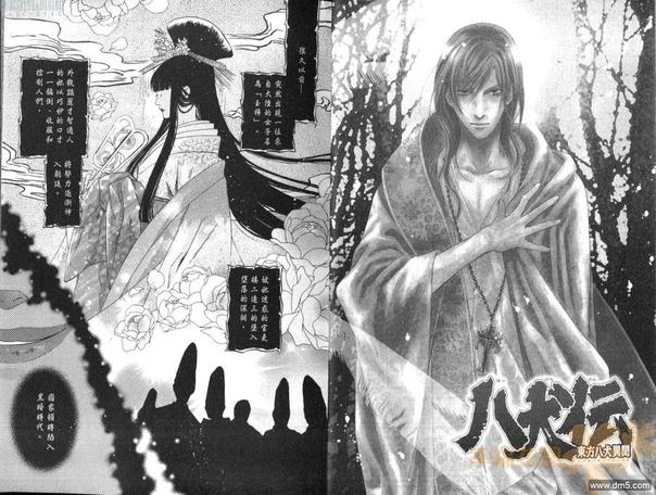 八犬传东方八犬异闻第二季动漫漫画,第11卷5图