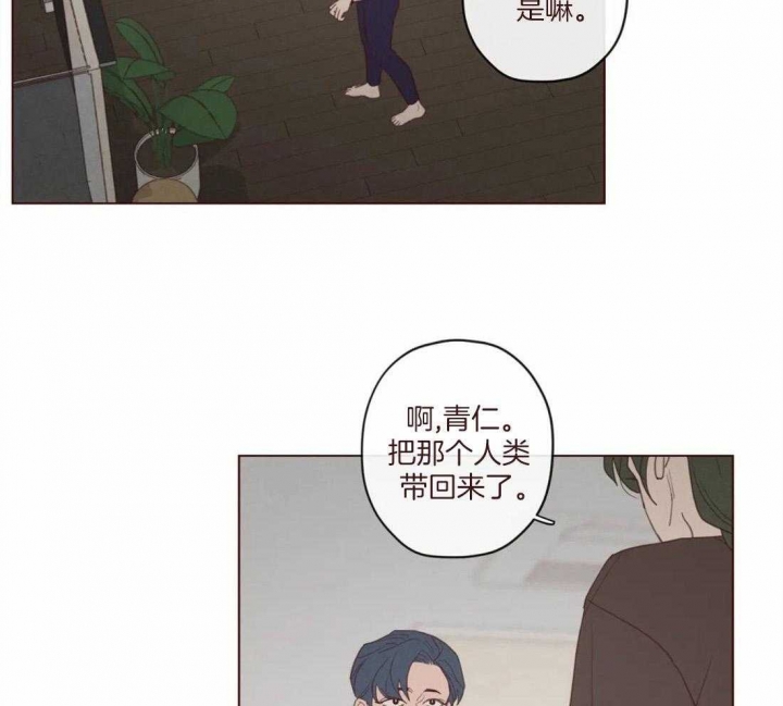 鬼怪新娘韩剧全集免费漫画,第120话4图