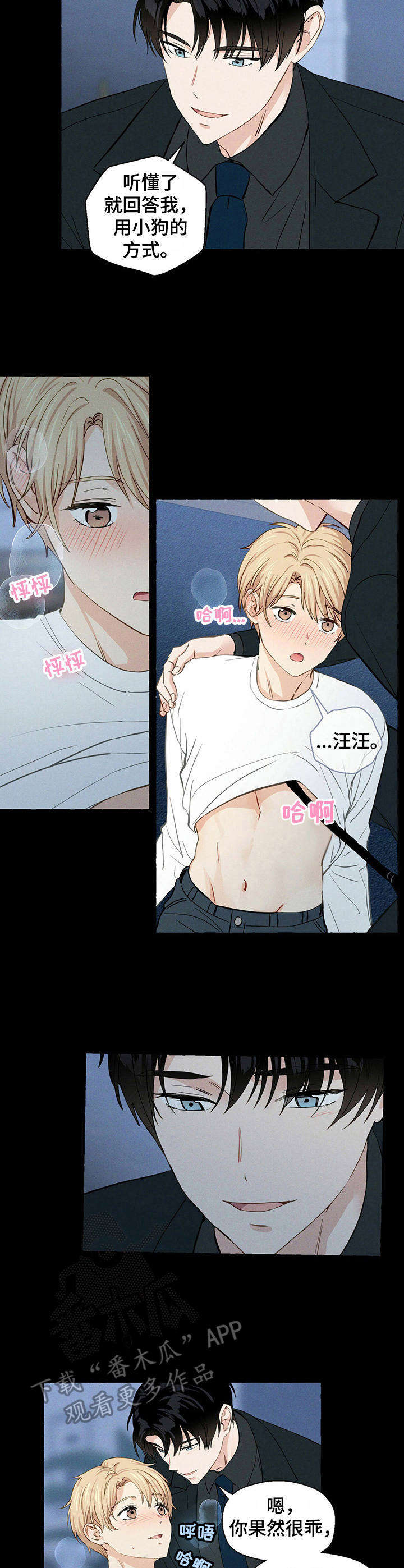 香草搭档简介漫画,第17章：随你处置2图
