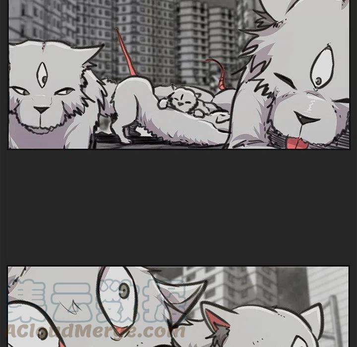 惊奇女侠漫画,215图