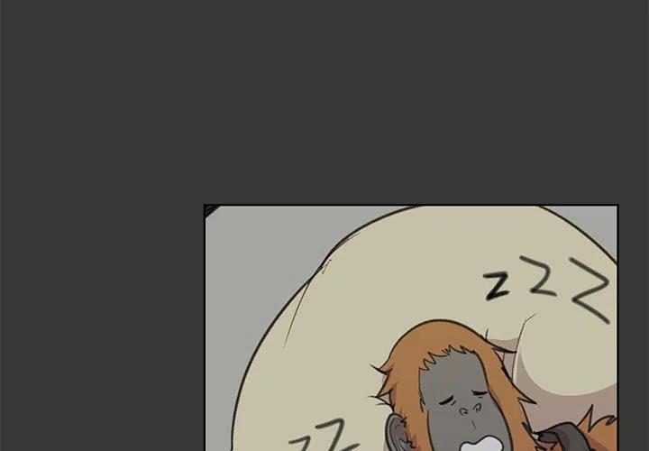 附近的宠物店距离我最近漫画,114图