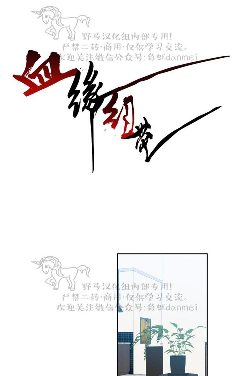血缘纽带全集漫画免费漫画,第74话1图