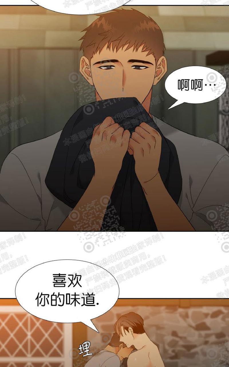 血缘纽带的英文漫画,第1034图