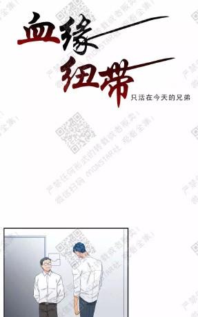 血缘纽带在哪个软件可以观看漫画,第28话1图