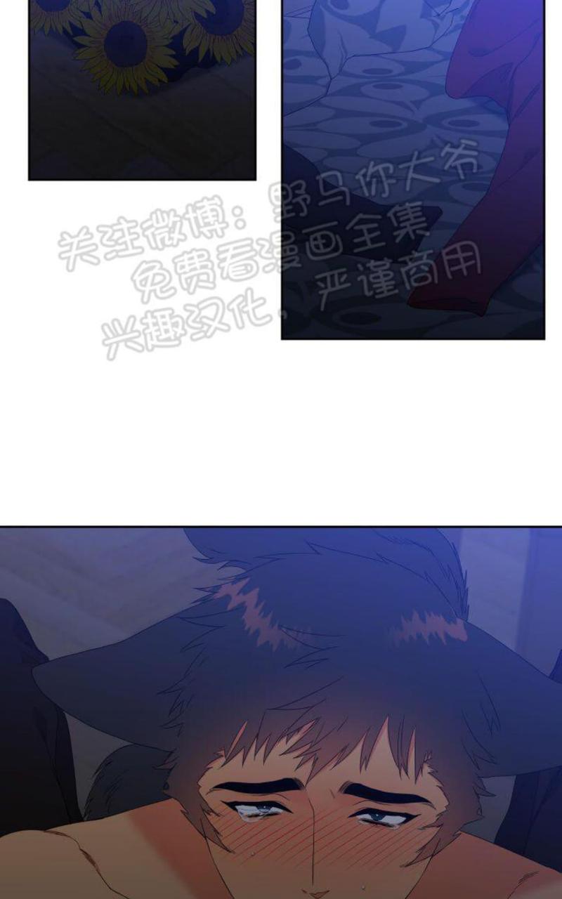 血缘关系的小说言情漫画,第90话2图