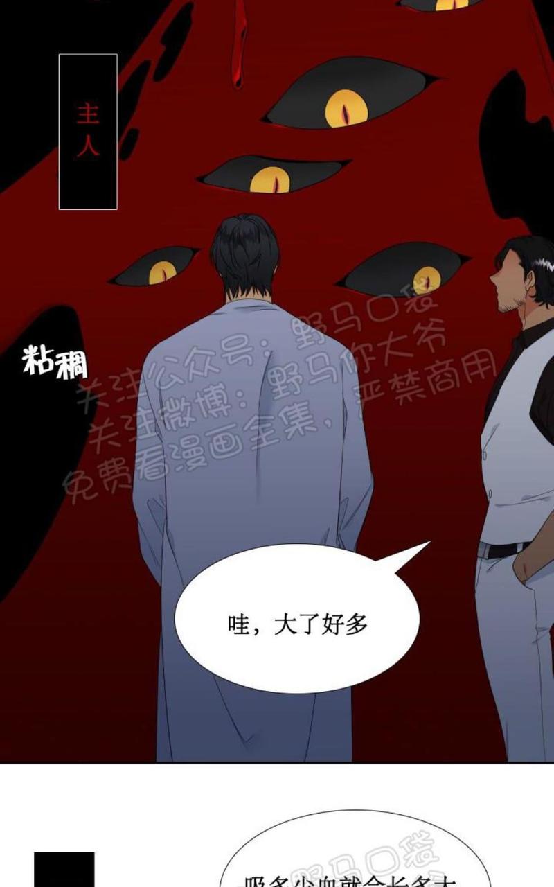 血缘纽带完整漫画,第91话4图