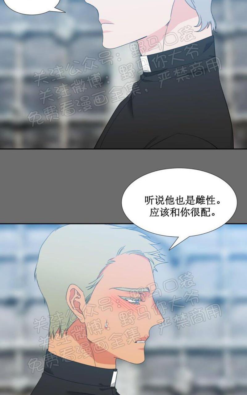 血缘纽带漫画在线观看漫画,第92话3图