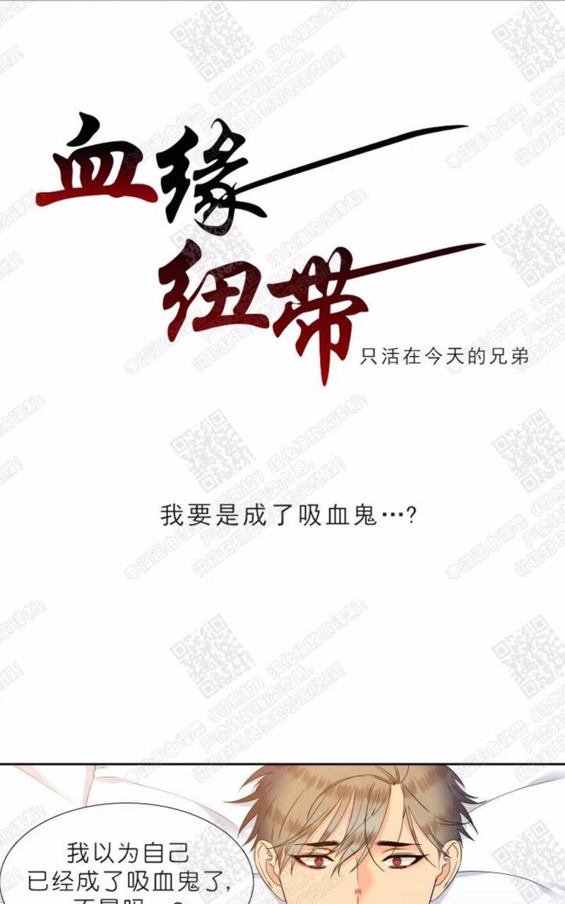 血缘纽带在线看免费漫画,第41话1图