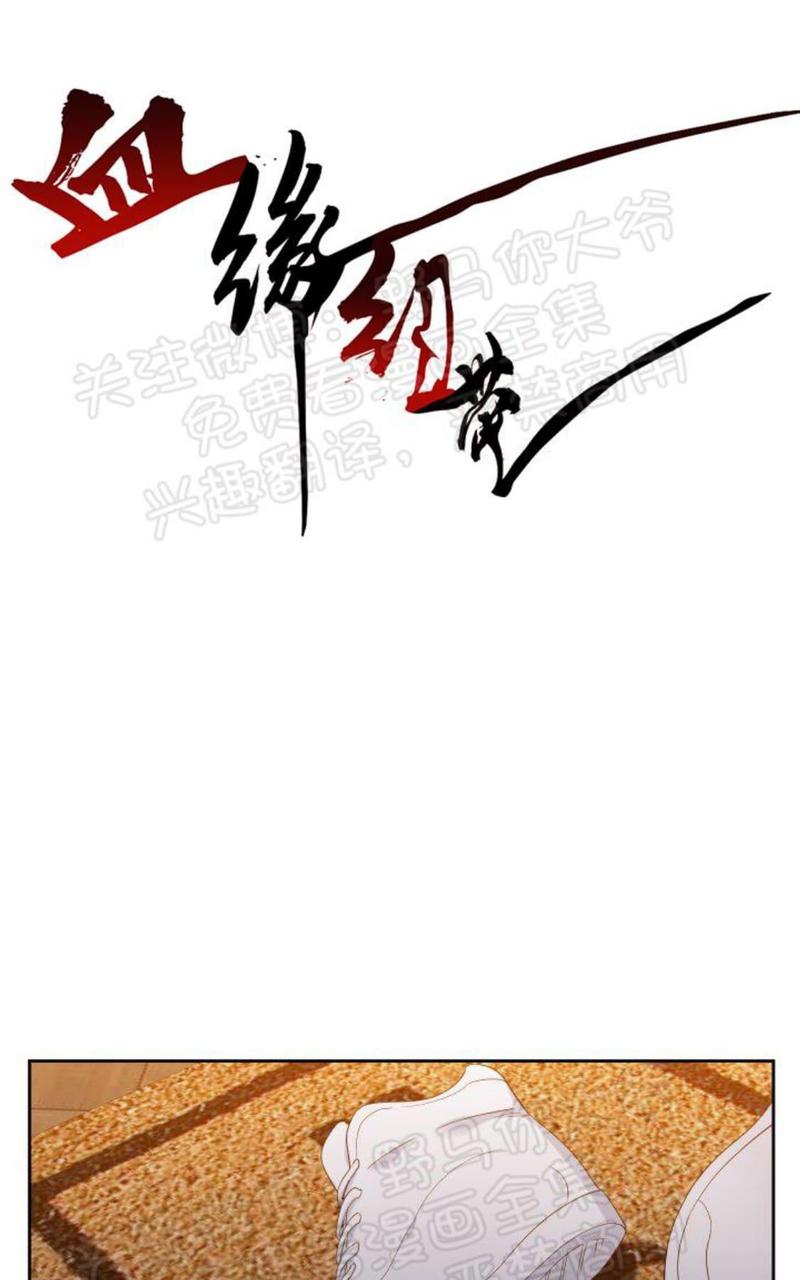 血缘纽带漫画免费阅读漫画,第95话1图