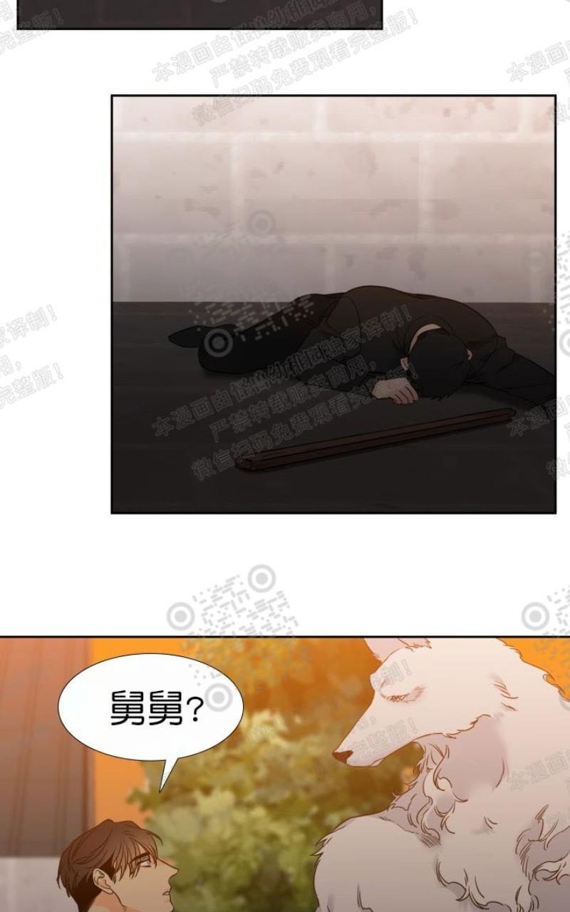 血缘纽带漫画漫画,第104话2图
