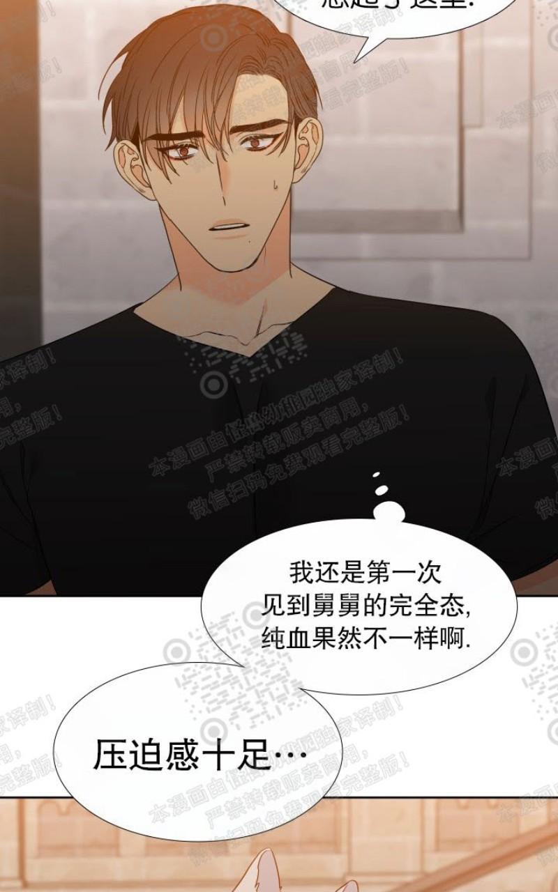血缘纽带漫画漫画,第104话4图