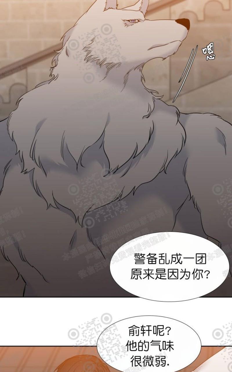 血缘纽带漫画漫画,第104话5图