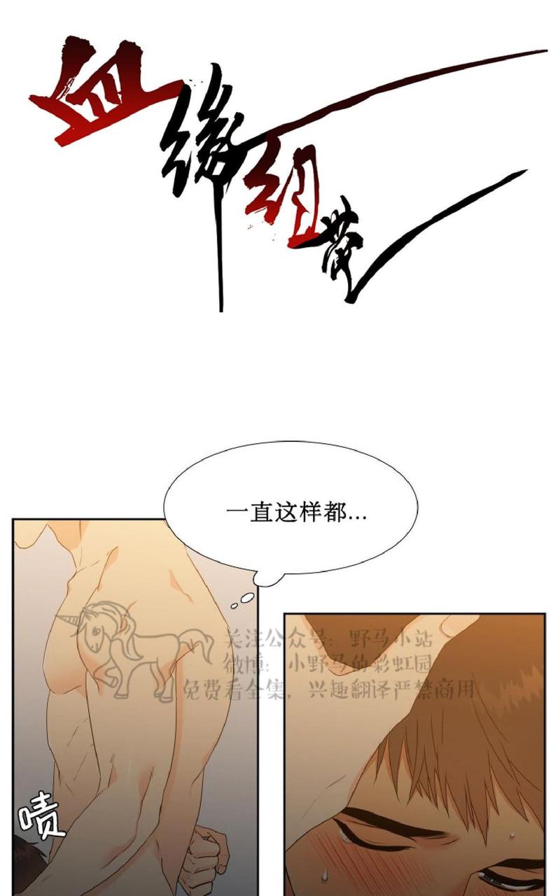 血缘纽带漫画漫画,第79话1图