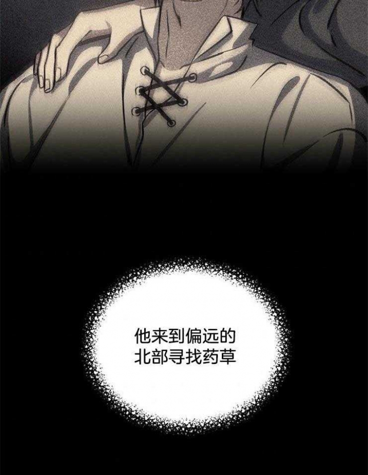满级法师重回新手村主要讲什么漫画,第22话4图