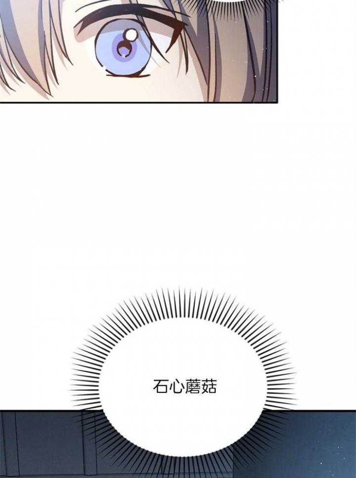 满级法师重回新手村主要讲什么漫画,第46话3图