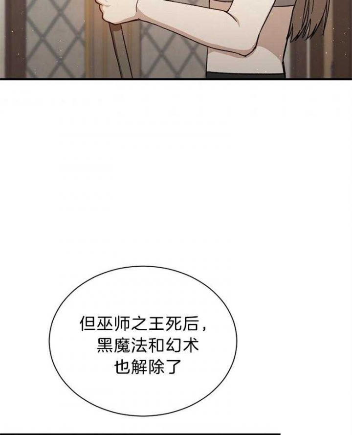 满级法师重回新手村解说漫画,第85话3图