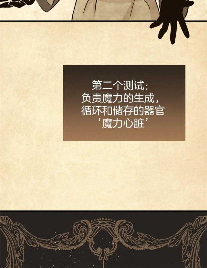 满级法师重回新手村漫画原著漫画,第4话5图