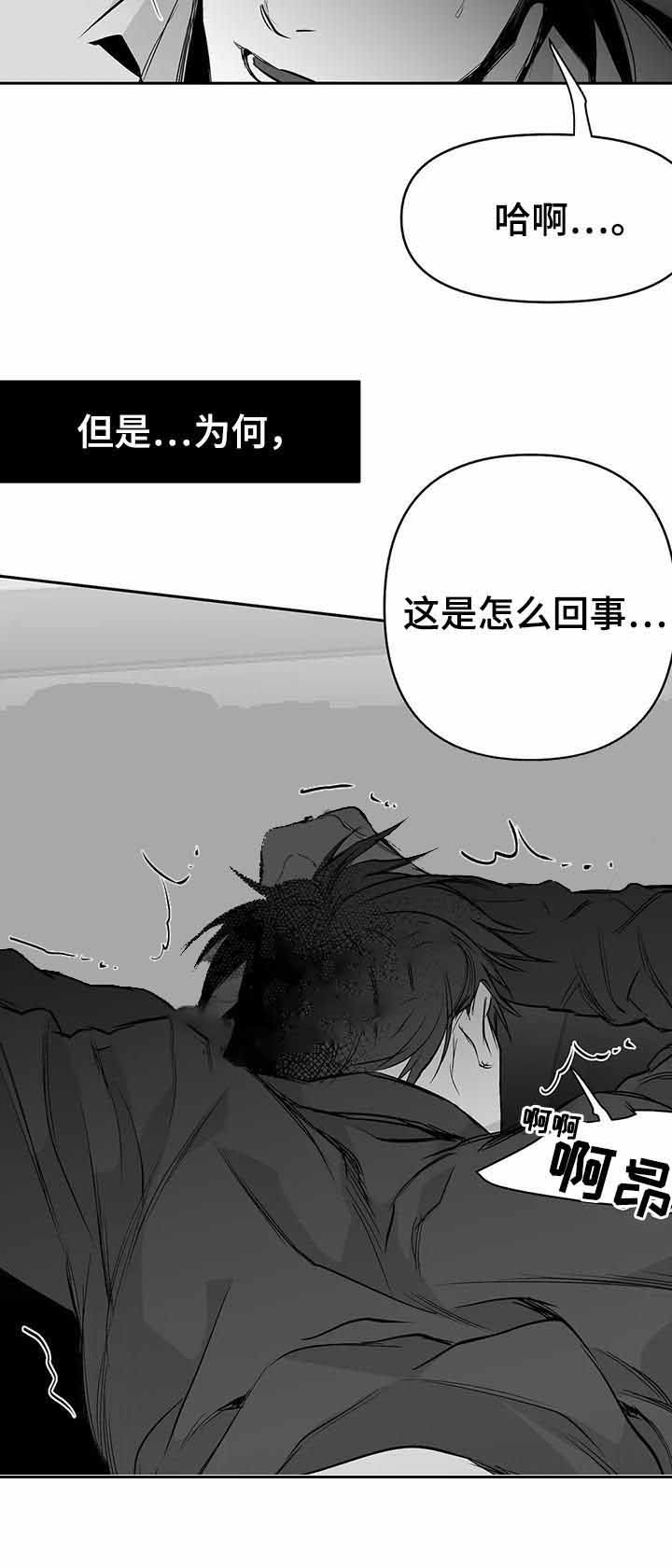 不走路的狗漫画,第79话4图