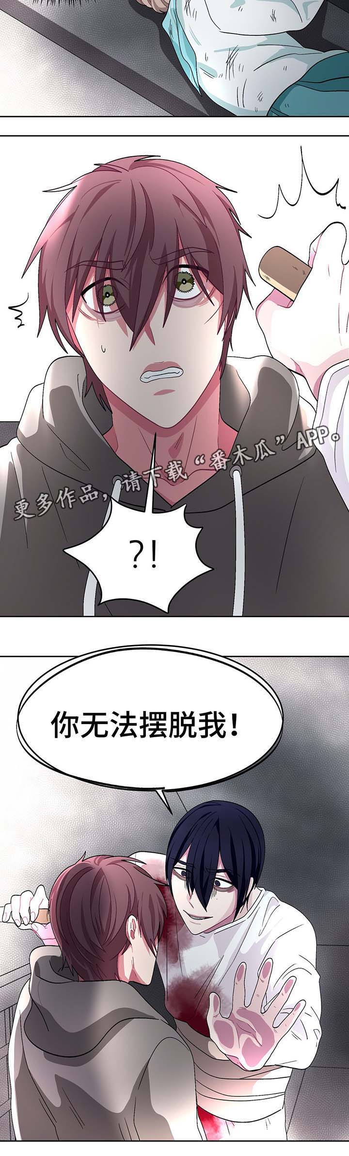 冬天来临大雁南飞漫画,第68章：刺入心脏4图