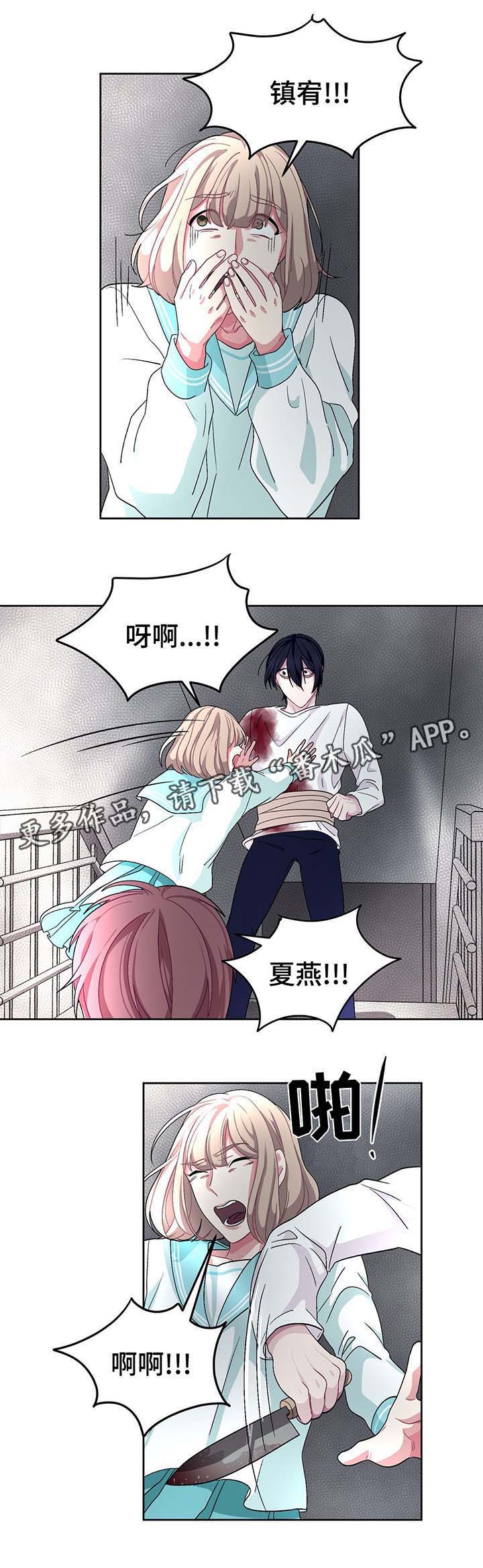 冬天来临大雁南飞漫画,第68章：刺入心脏2图