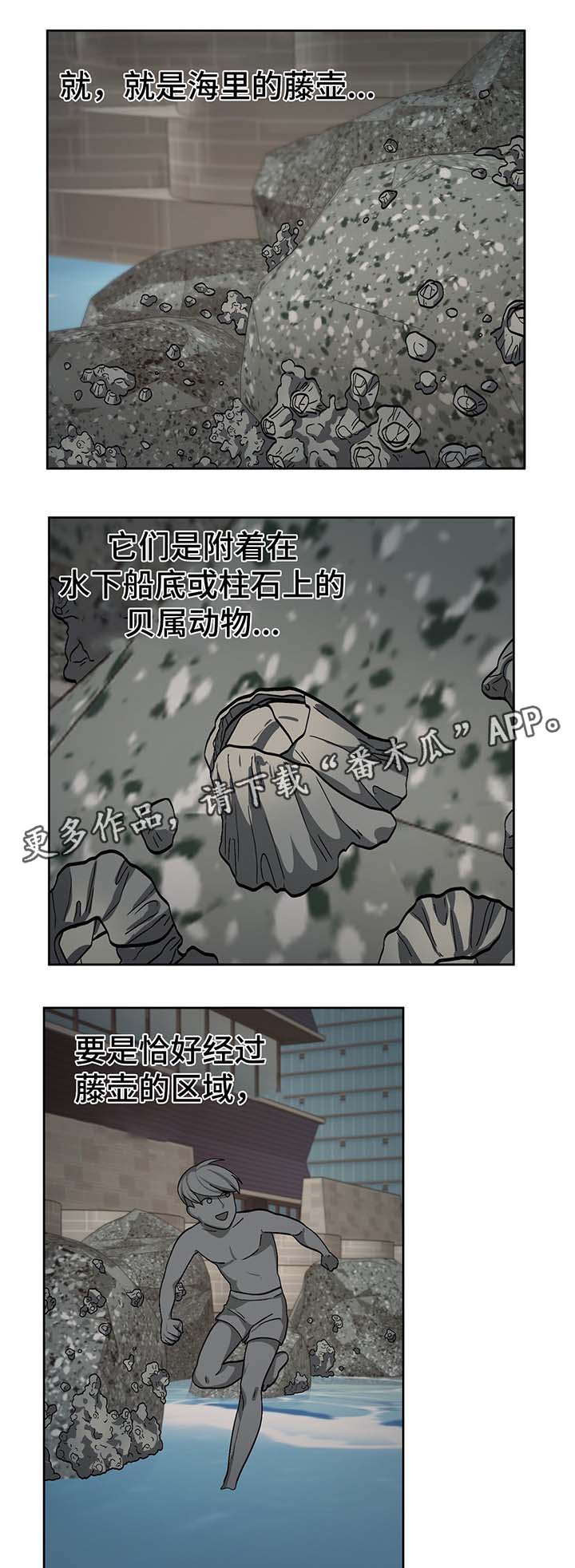 冬天来临时我们周围的植物是如何抵御寒冷的漫画,第49章：处理CD5图