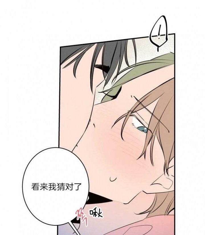 结婚可以啊漫画下拉漫画,第42话4图