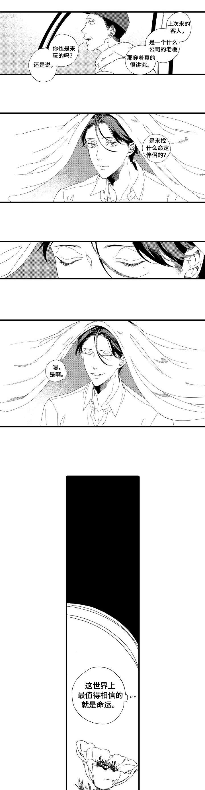 欧米伽小队任务攻略漫画,第1章：岛5图