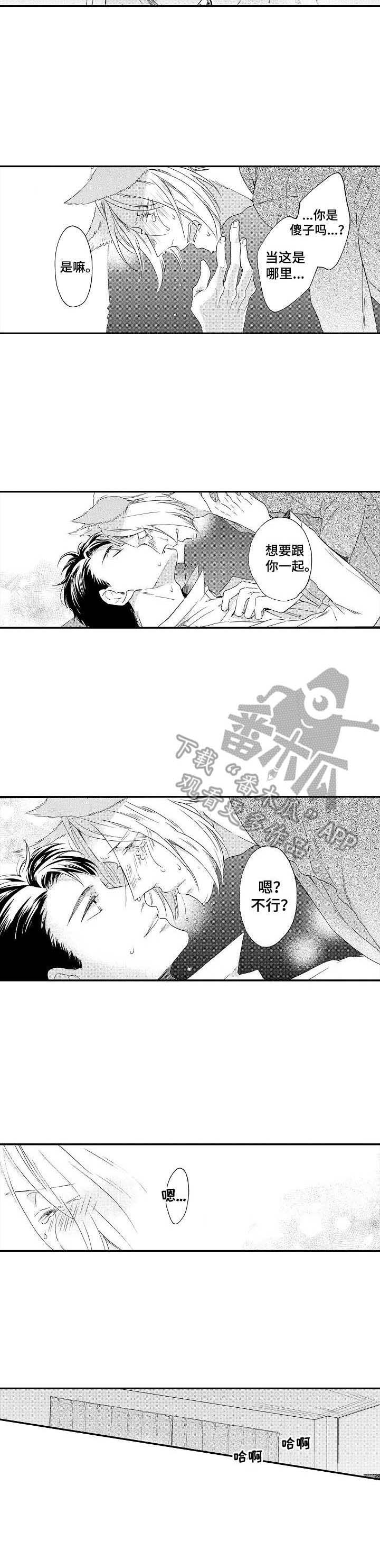 狼的故事儿童漫画,第18章：很特别4图