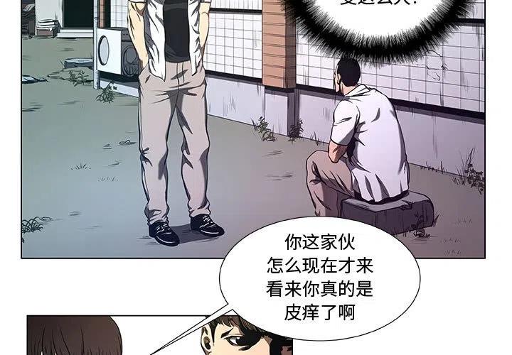 虚拟货币最新消息今天漫画,343图