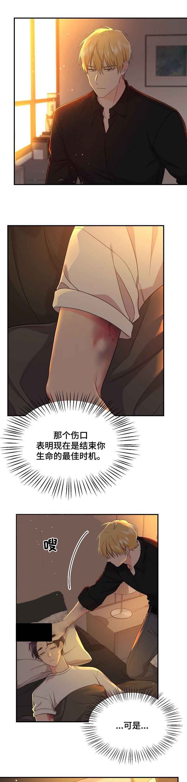 老虎花灯制作漫画,第53话4图