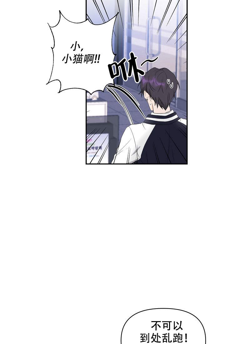 老虎花漫画未删减免费观看漫画,第2话3图
